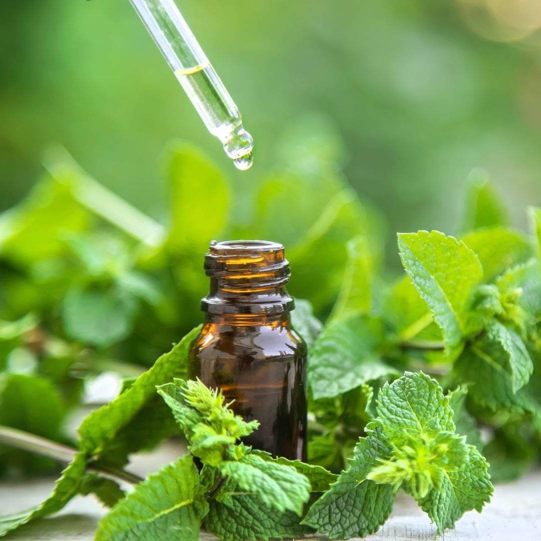 Peppermint Essential Oil