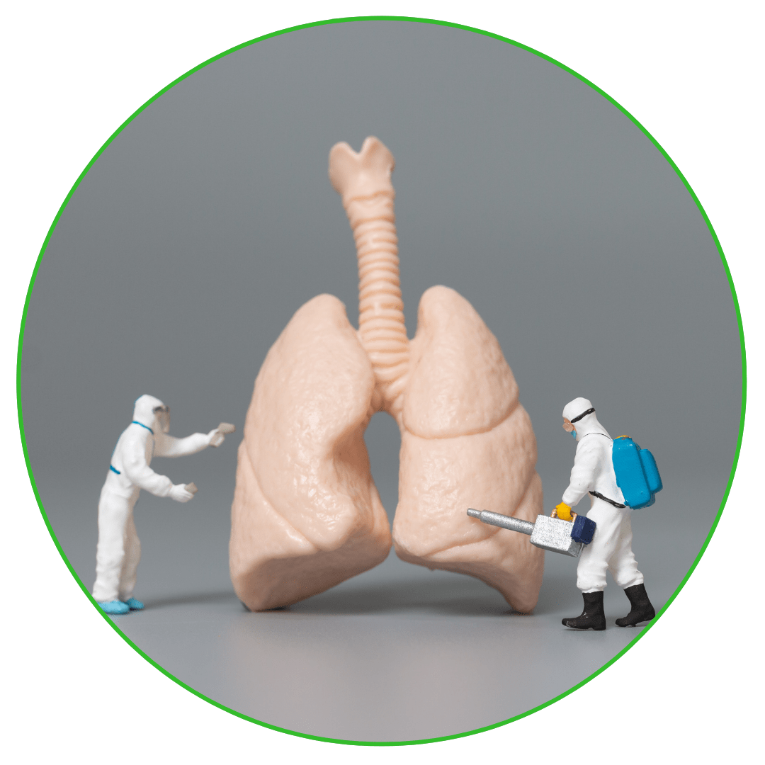 Supports Lung Tissue Repair